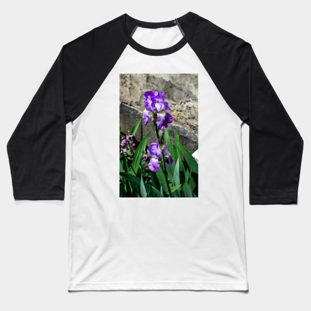 Bearded Iris in Spring Baseball T-Shirt by srosu